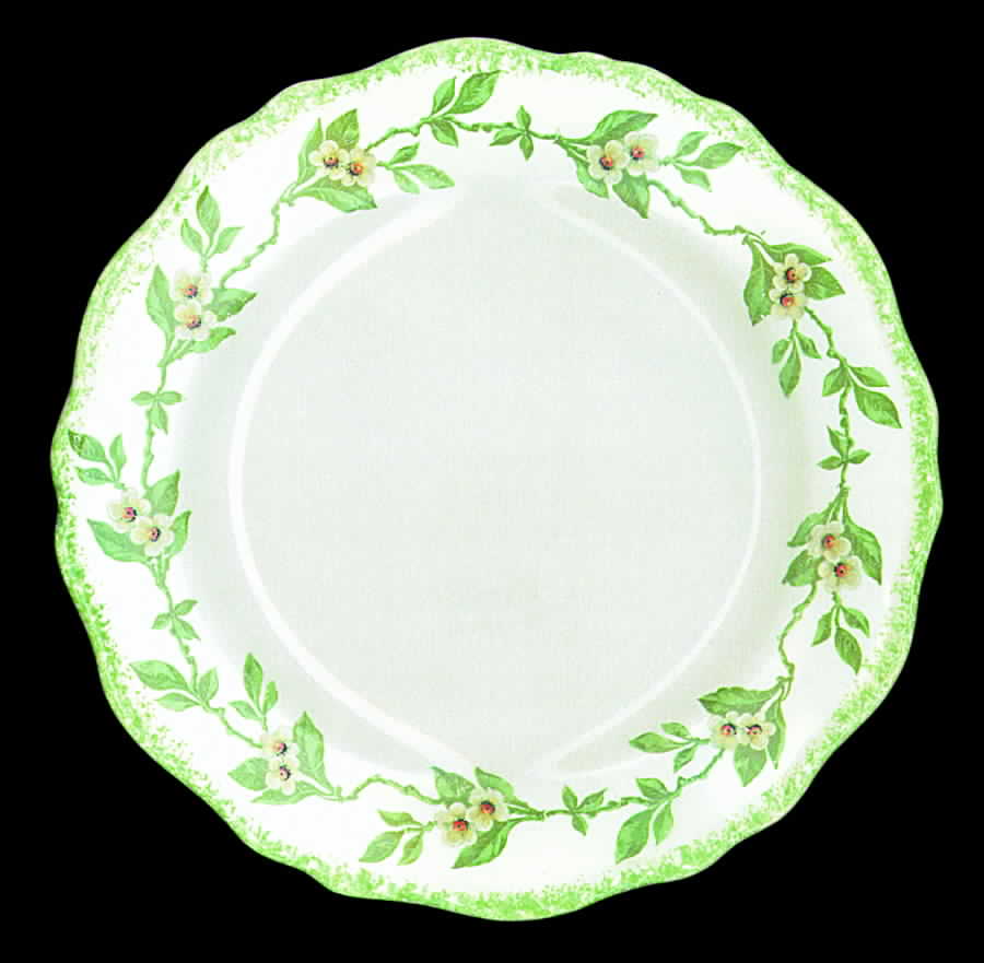 STB152 Dinner Plate by Steubenville-1