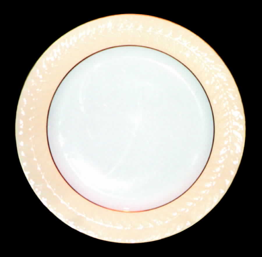 SHO126 Dinner Plate by Shenango-1