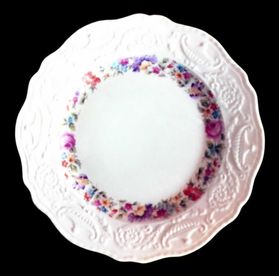 STB154 Dinner Plate by Steubenville-1