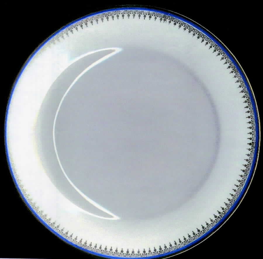 SLT132 Dinner Plate by Seltmann-1