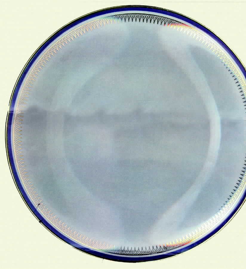 SLT133 Dinner Plate by Seltmann-1