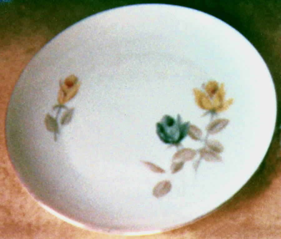 SLT134 Dinner Plate by Seltmann-1