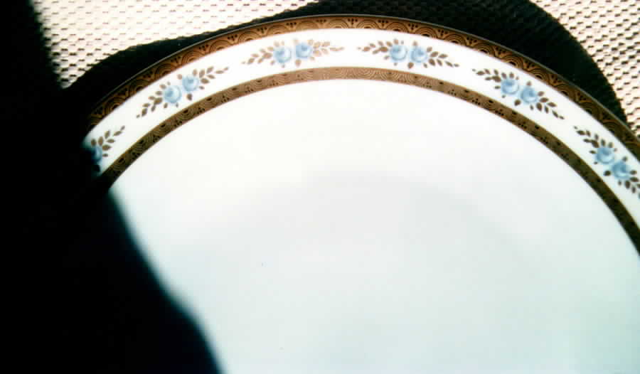 SLT136 Dinner Plate by Seltmann-1