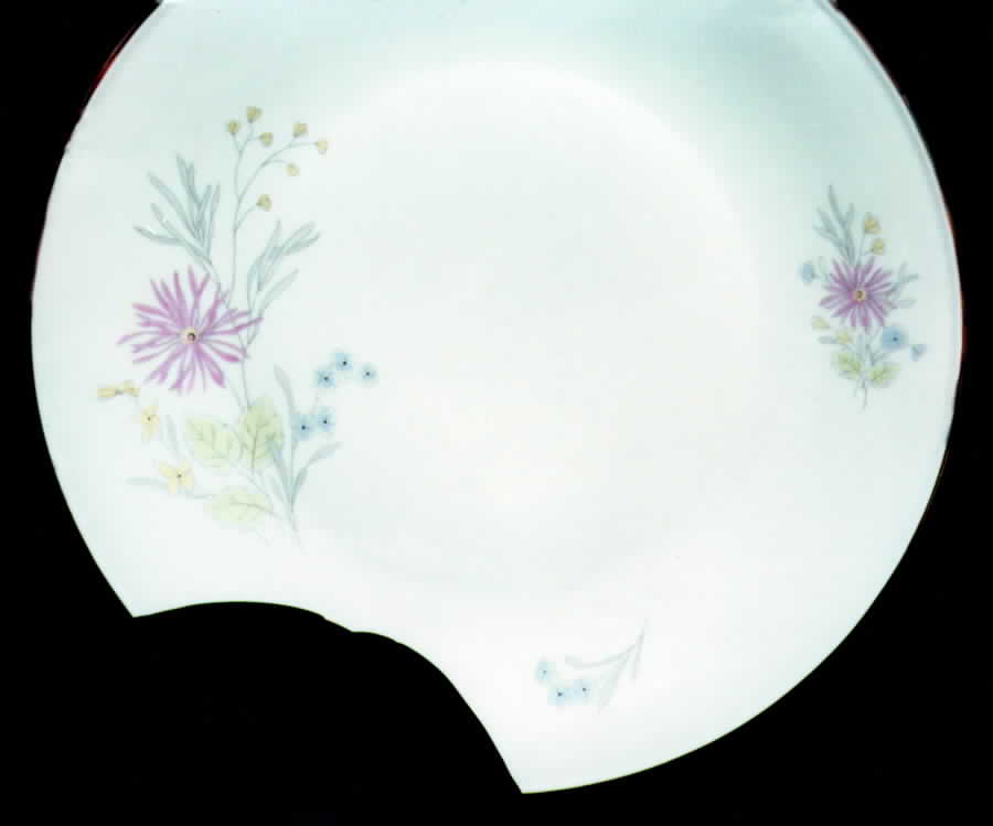 SLT137 Dinner Plate by Seltmann-1