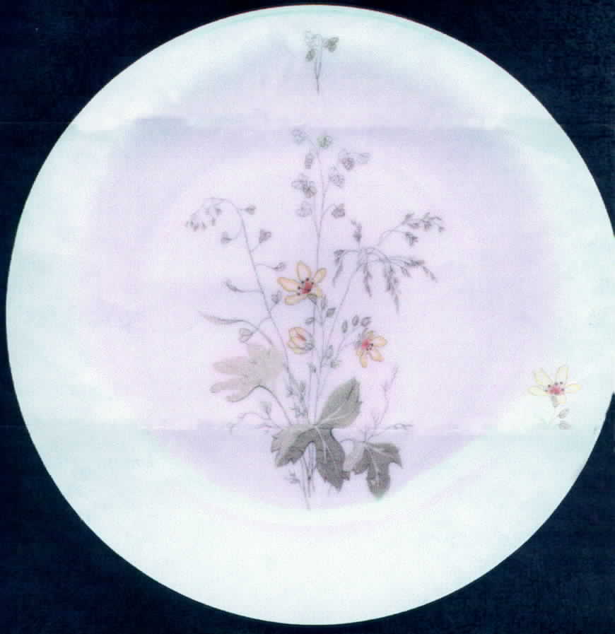 21307 Salad Plate by Seltmann-1