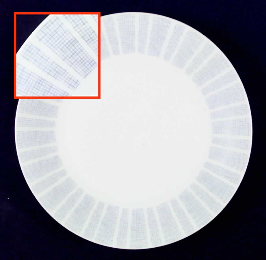 SLT141 Dinner Plate by Seltmann-1