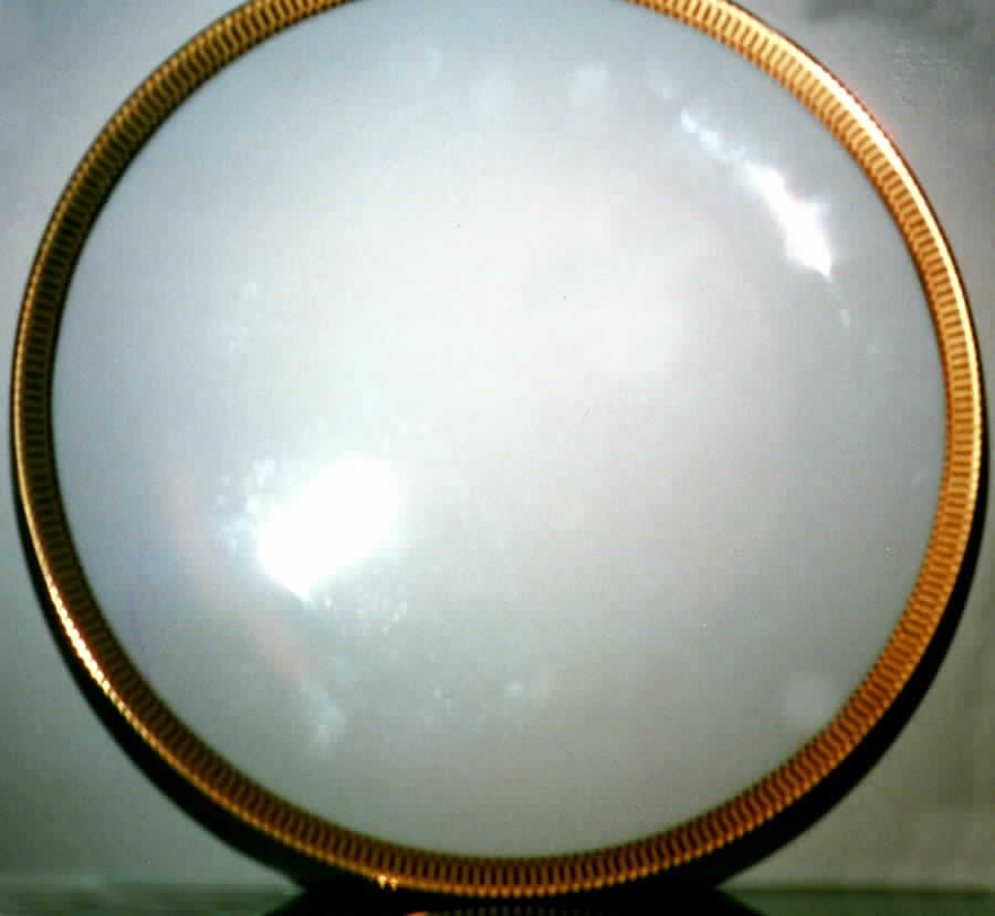 5174 Dinner Plate by Johann Seltmann-1