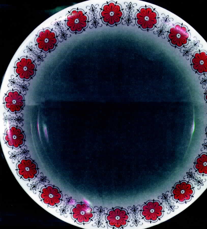 SLT142 Dinner Plate by Seltmann-1