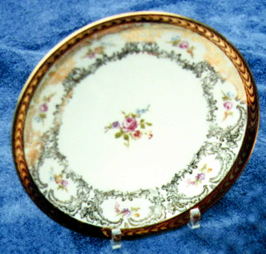 SLT145 Dinner Plate by Seltmann-1