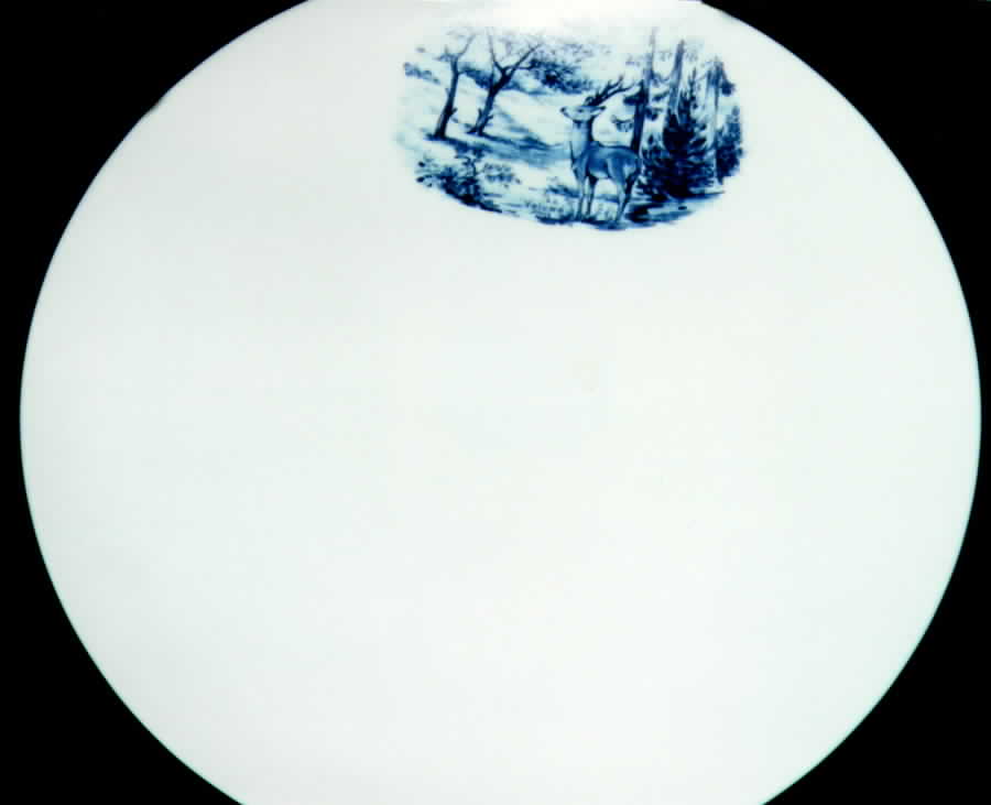 SLT146 Salad Plate by Seltmann-1