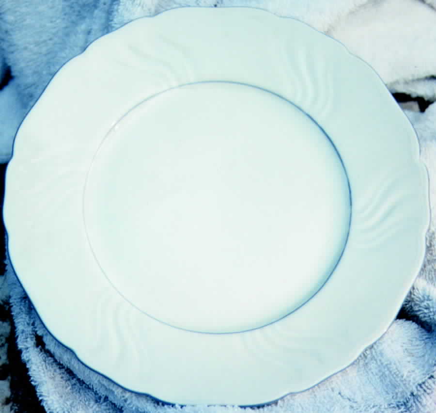 SLT147 Dinner Plate by Seltmann-1