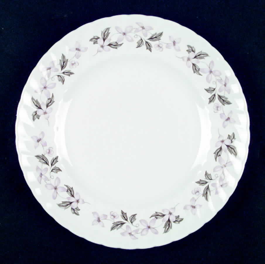 SWI5048 Dinner Plate by Swinnertons-1