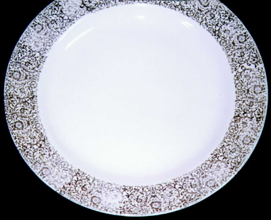 STT154 Dinner Plate by Stetson-1