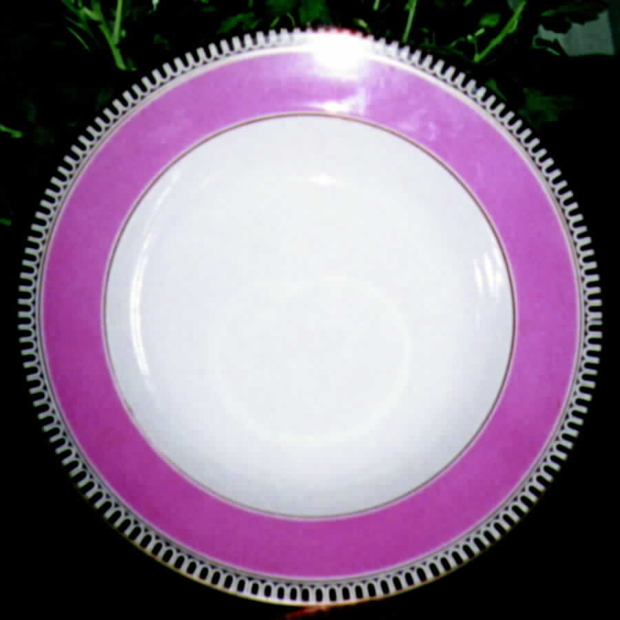 SP156 Dinner Plate by Spode-1
