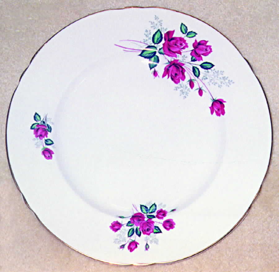 SHE15 Dinner Plate by Shelley-1