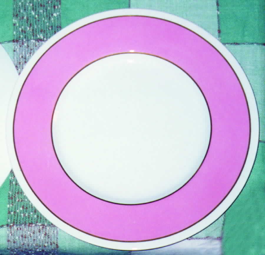 Y4333 Dinner Plate by Spode-1