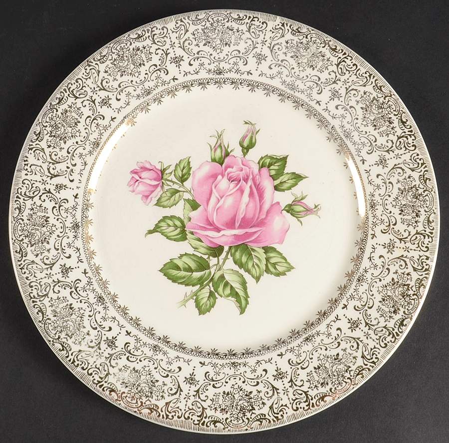 SLM429 Dinner Plate by Salem-1