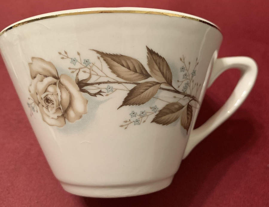 SAB52 Flat Cup by Sabin-1