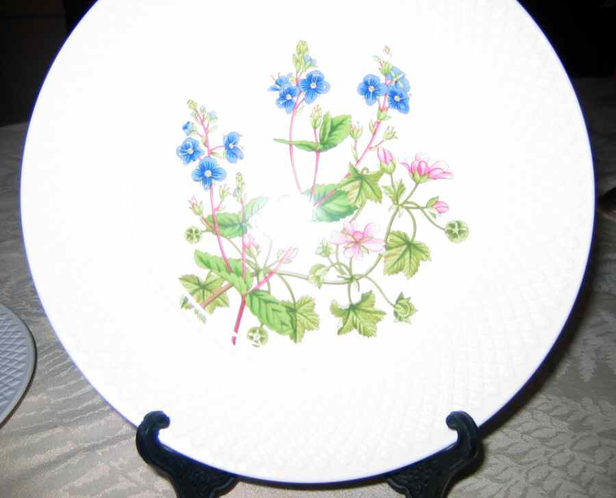 SP160 Luncheon Plate by Spode-1