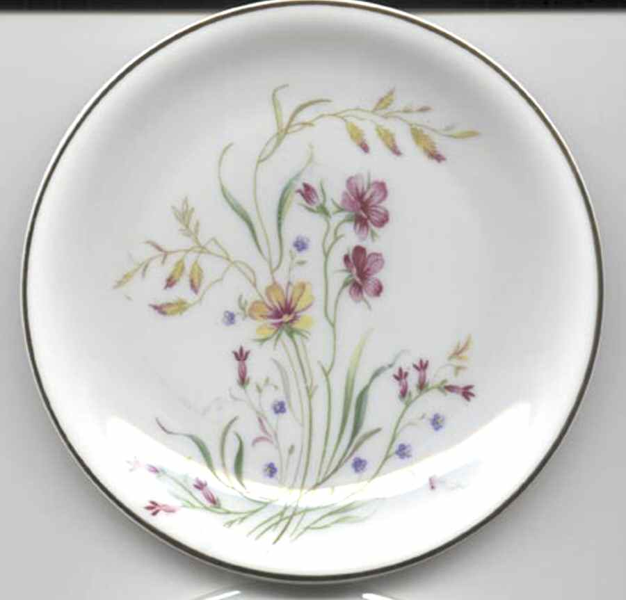 SCG14 Salad Plate by Schirnding-1