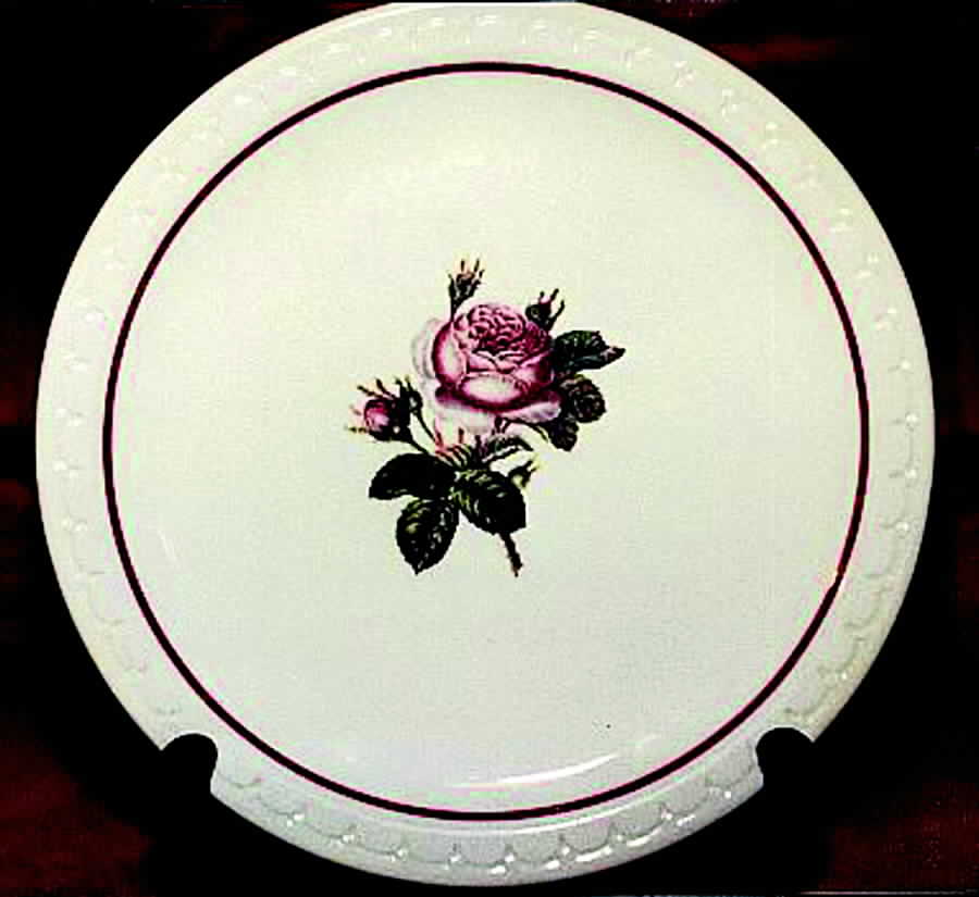 SY364 Dinner Plate by Syracuse-1