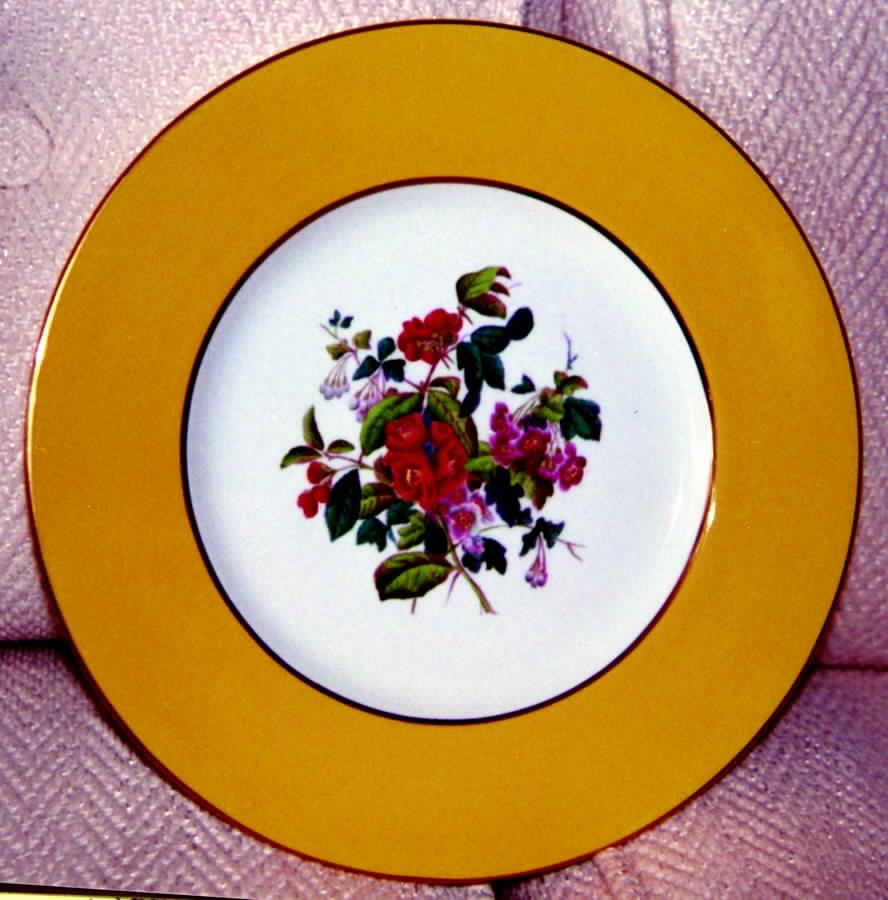 Y4305 Dinner Plate by Spode-1