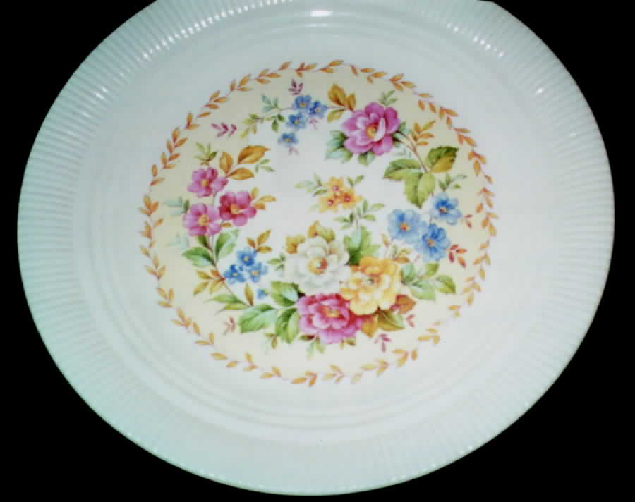 SLM165 Dinner Plate by Salem-1