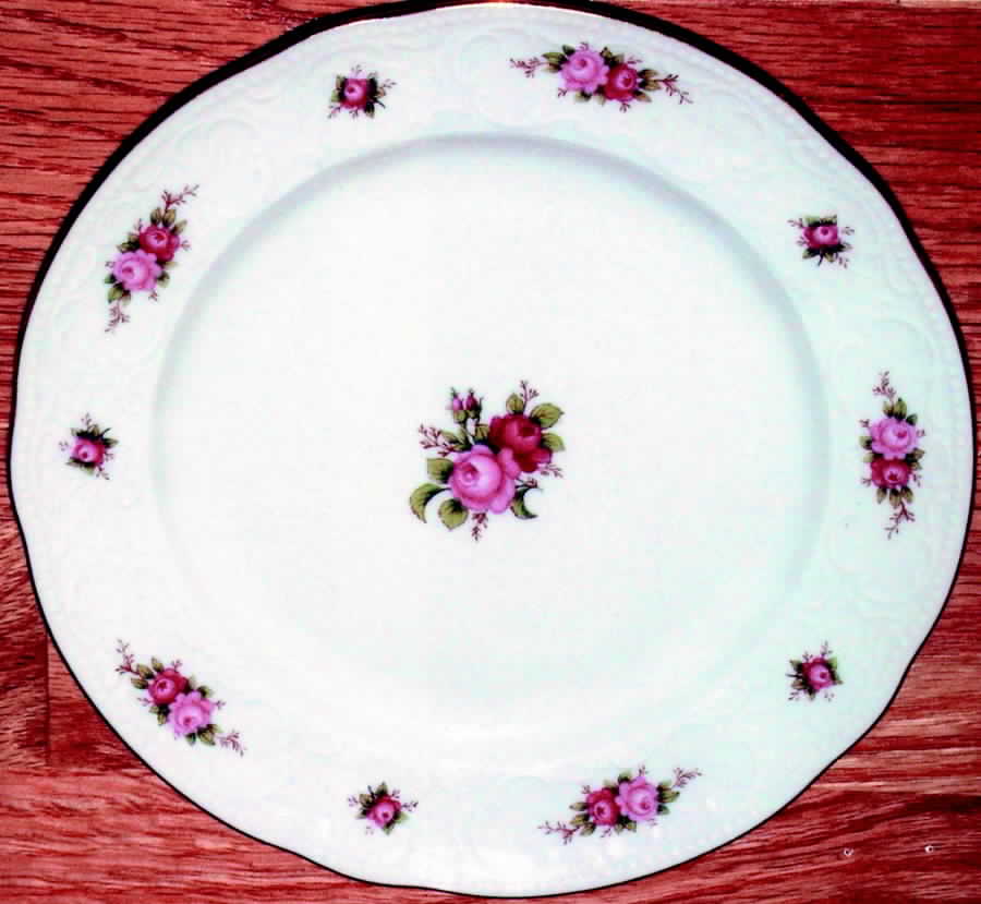 SLT153 Dinner Plate by Seltmann-1