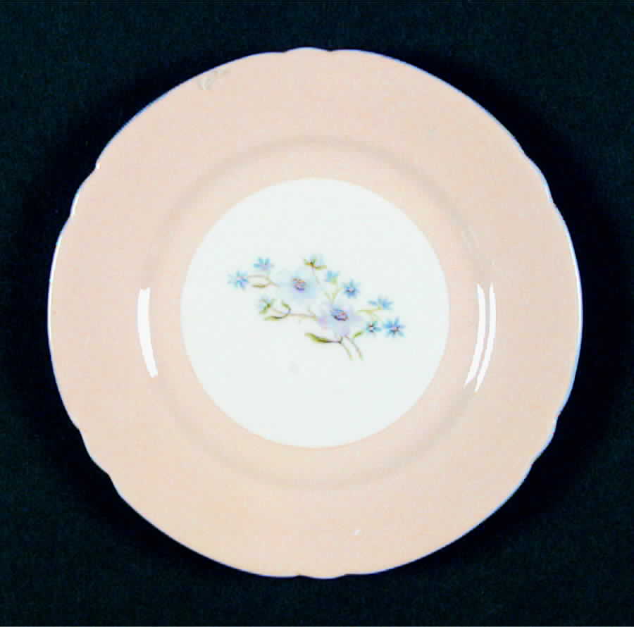 13625 Bread & Butter Plate by Shelley-1