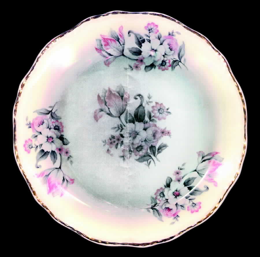 STB170 Dinner Plate by Steubenville-1