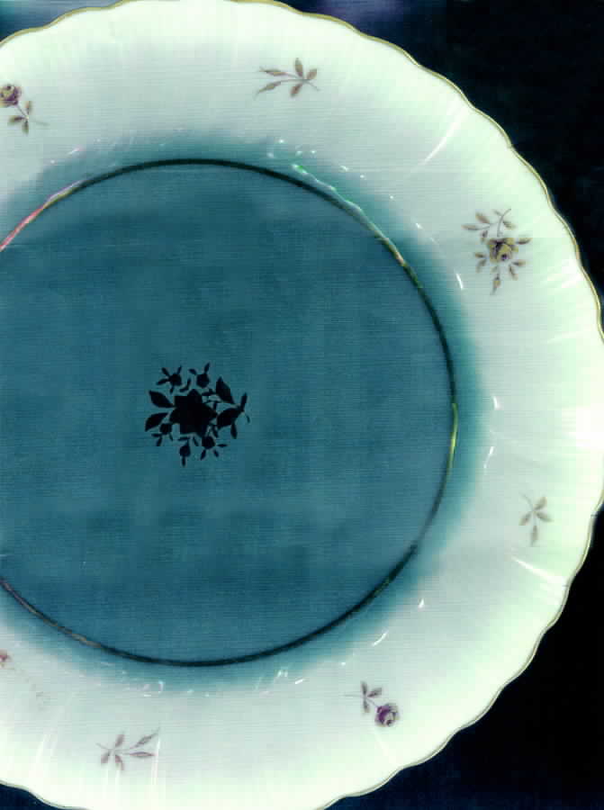 De Ville Dinner Plate by Seyei Toki Co-1