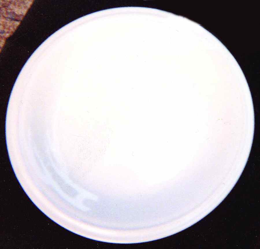 Kitchen Class Dinner Plate by Studio Nova-1