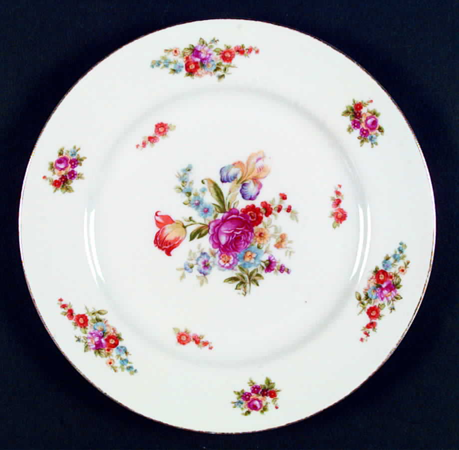 Dresden Dinner Plate by Spring China-1