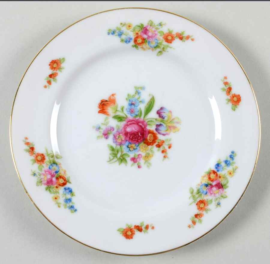 Dresden Bread & Butter Plate by Spring China-1