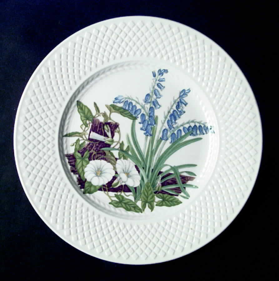 SP165 Luncheon Plate by Spode-1