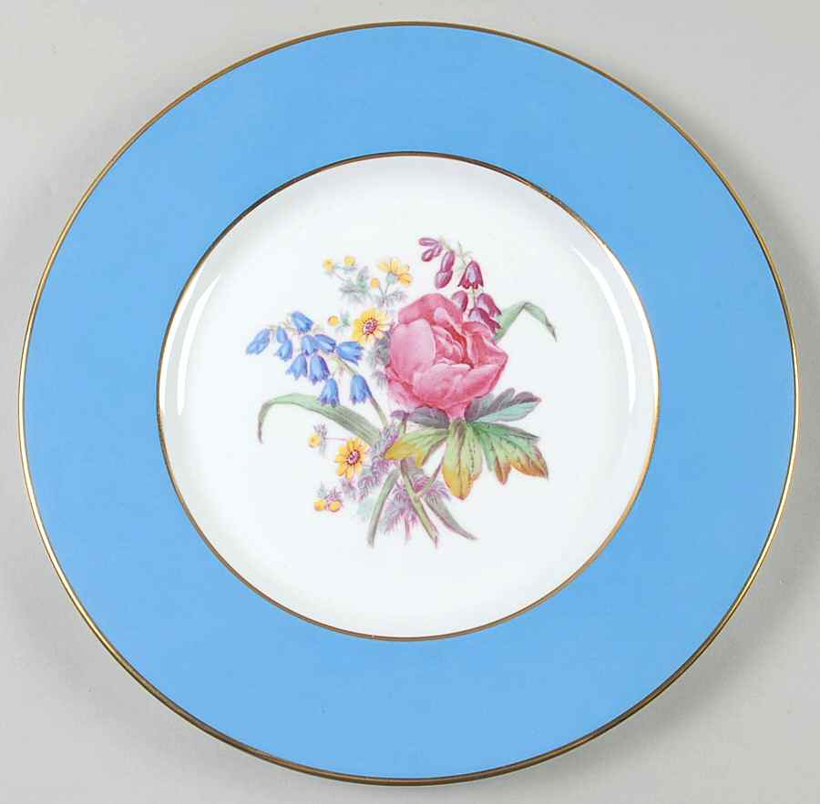 Y6169 Dinner Plate by Spode-1