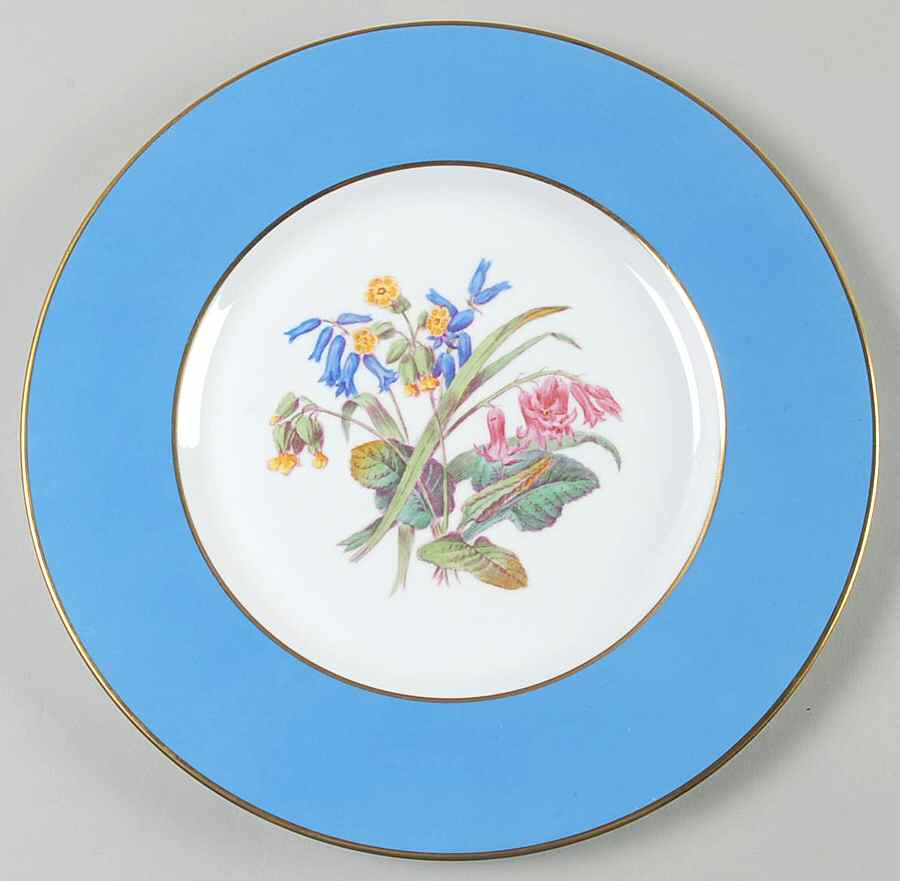 Y6169 Dinner Plate by Spode-1