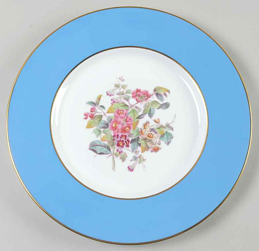 Y6169 Dinner Plate by Spode-1
