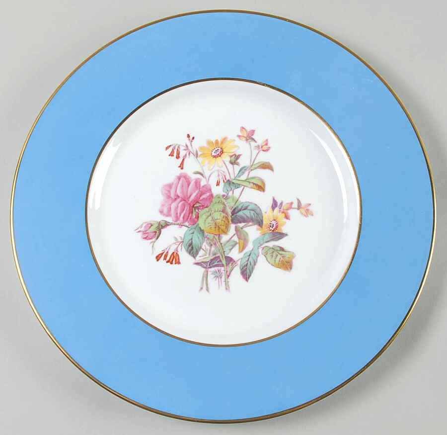Y6169 Dinner Plate by Spode-1