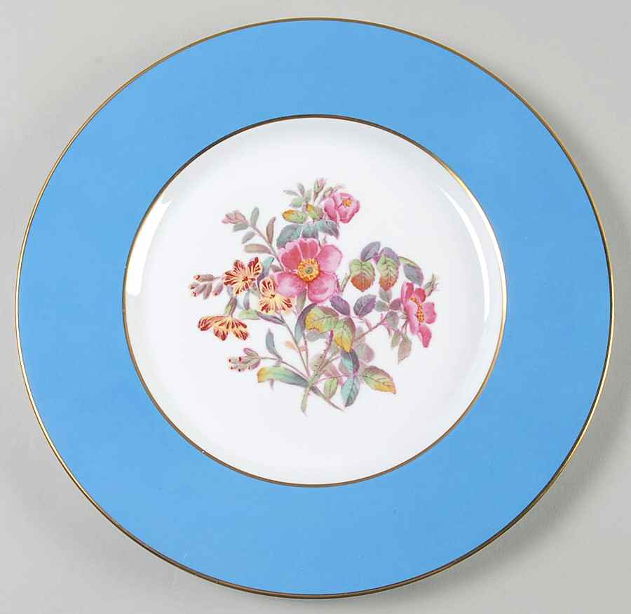 Y6169 Dinner Plate by Spode-1