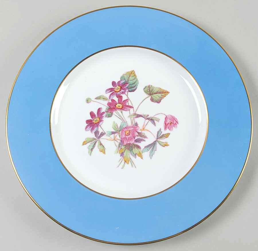 Y6169 Dinner Plate by Spode-1