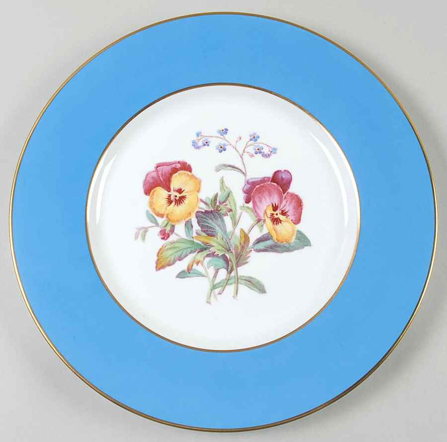 Y6169 Dinner Plate by Spode-1