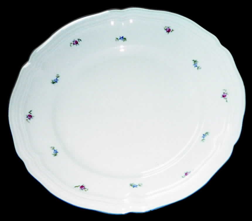 SLT157 Dinner Plate by Seltmann-1