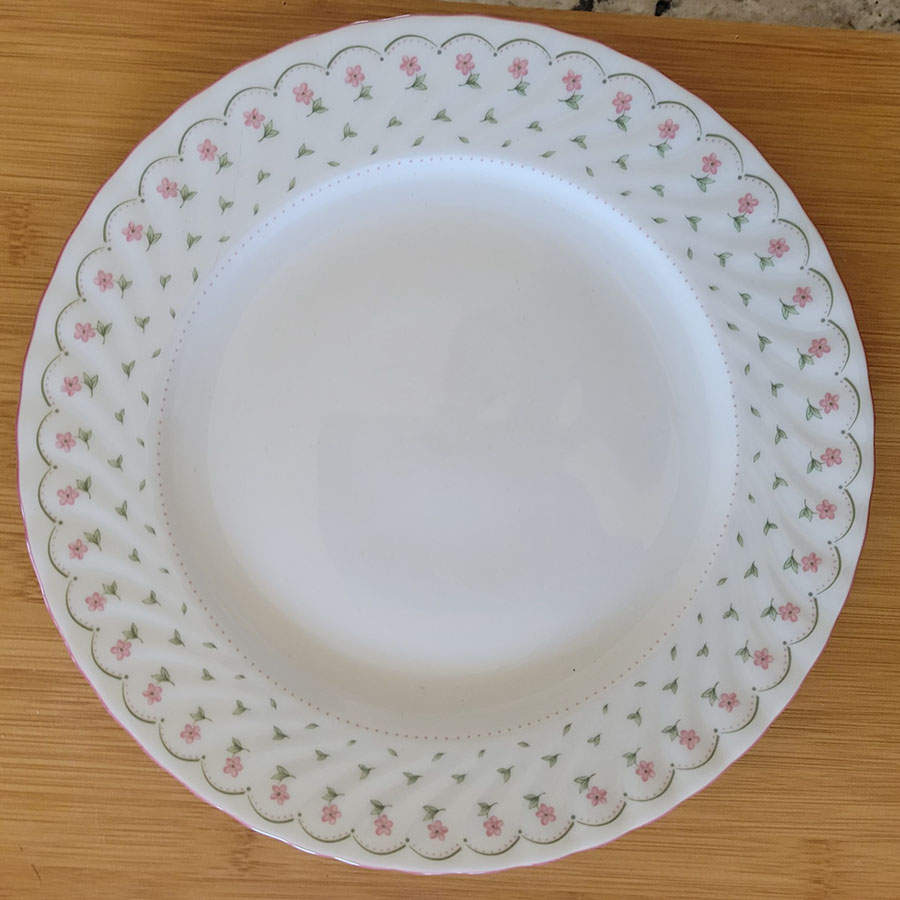 SLT158 Dinner Plate by Seltmann-1