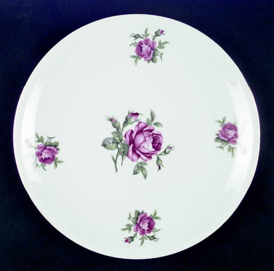 SCR41 Dinner Plate by Scherzer-1