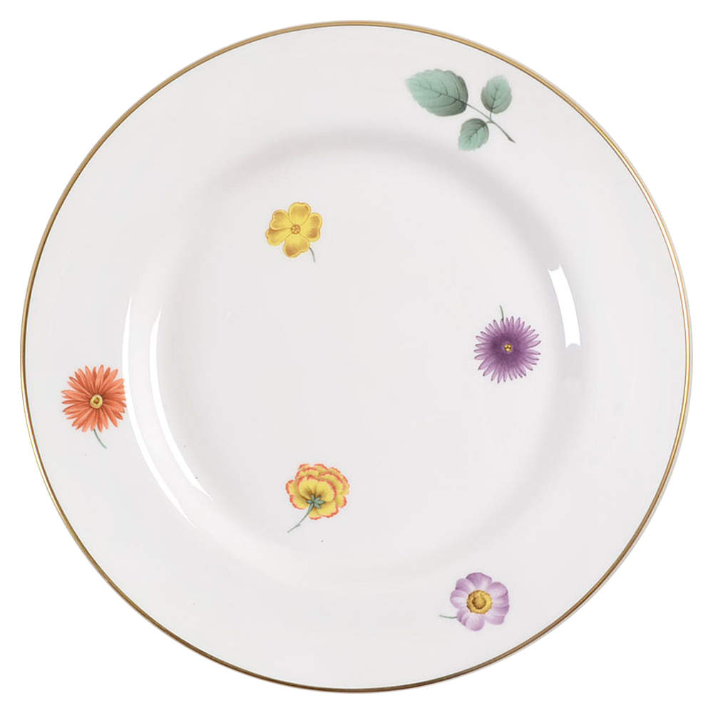 Astor Salad Plate by Spode-1