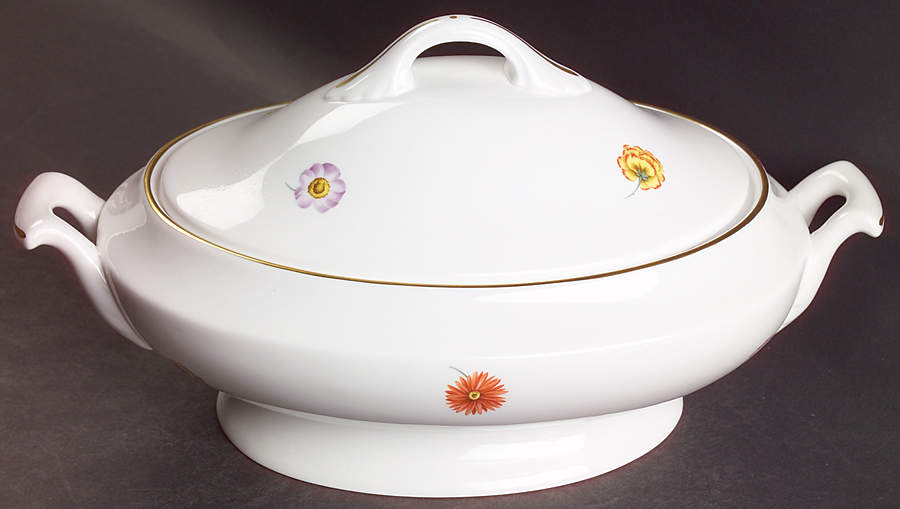 Astor Oval Covered Vegetable by Spode-1
