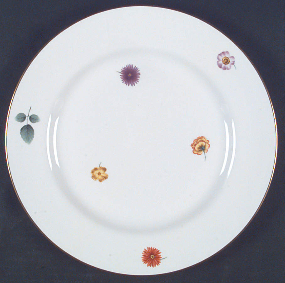 Astor Dinner Plate by Spode-1