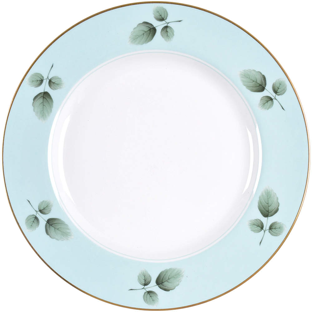 Astor Accent Salad Plate by Spode-1