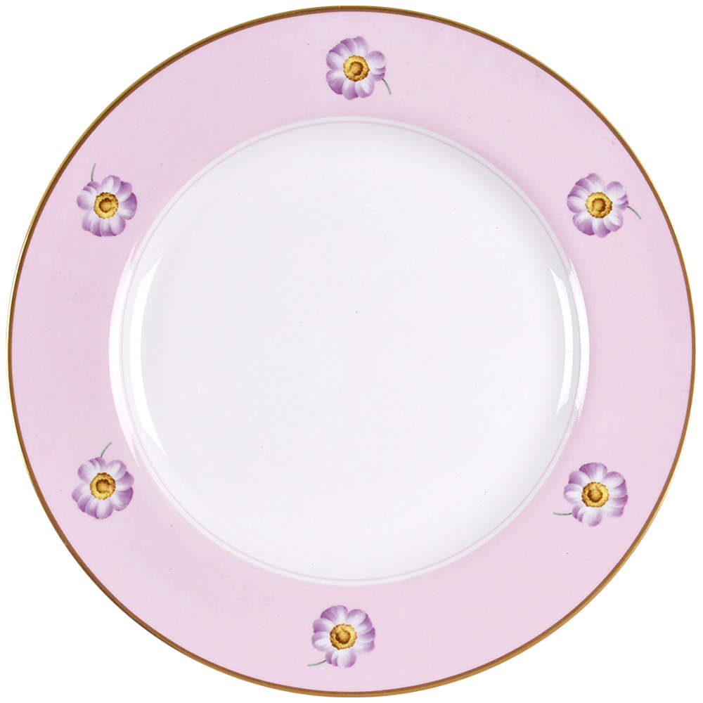 Astor Accent Salad Plate by Spode-1